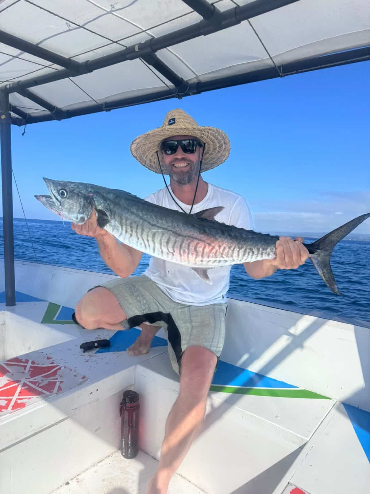 Fresh mackerel caught fishing in Sumba waters